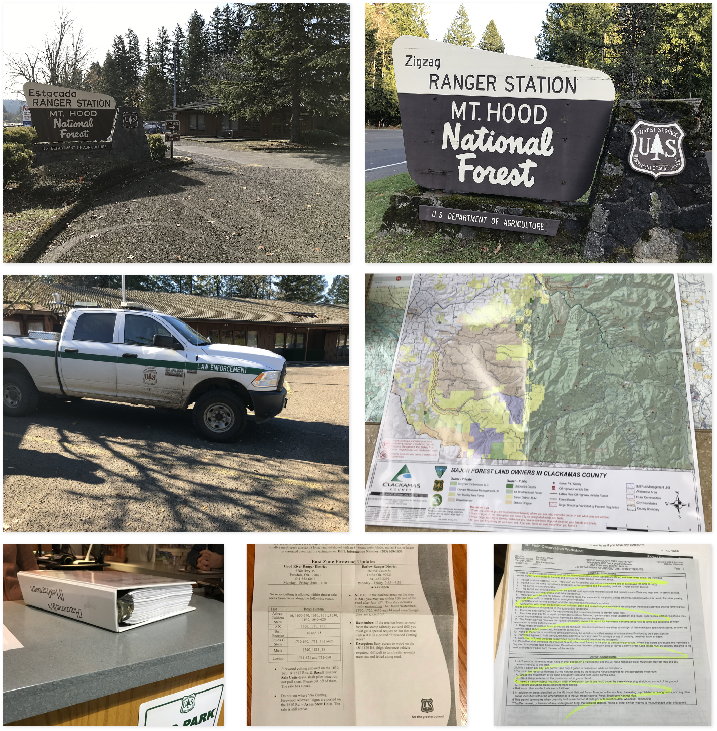 A collage of photos from a research trip to Mt. Hood National Forest.